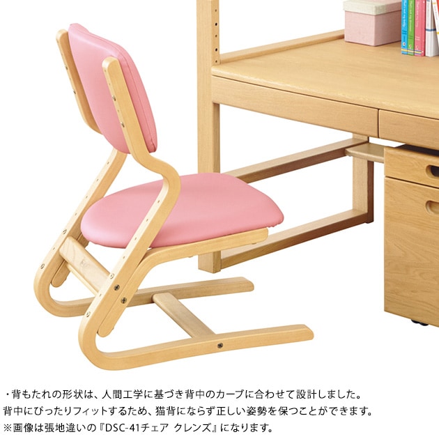 ���ܹ��� DSC-4100������ ��Ĵ�쥶��