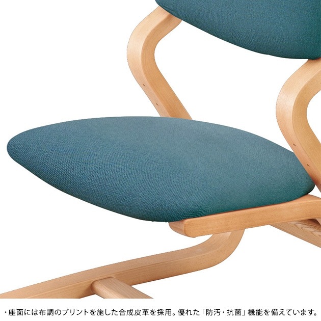 ���ܹ��� DSC-4100������ ��Ĵ�쥶��