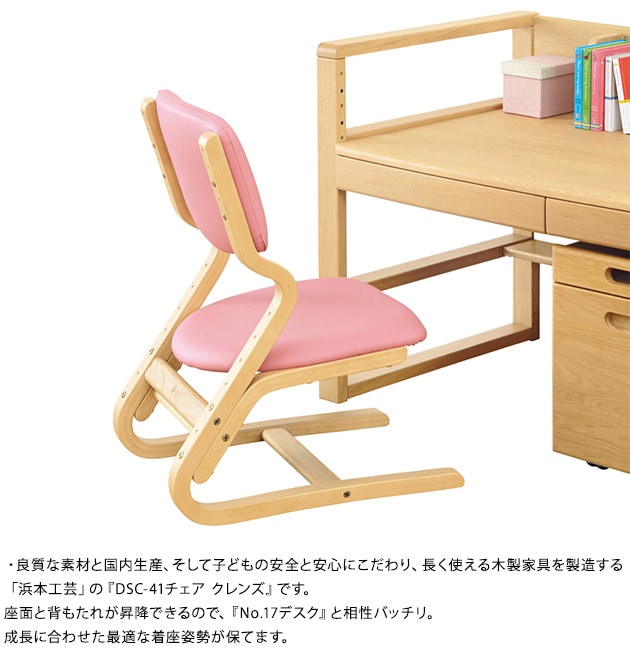 ���ܹ��� DSC-4100������ �����