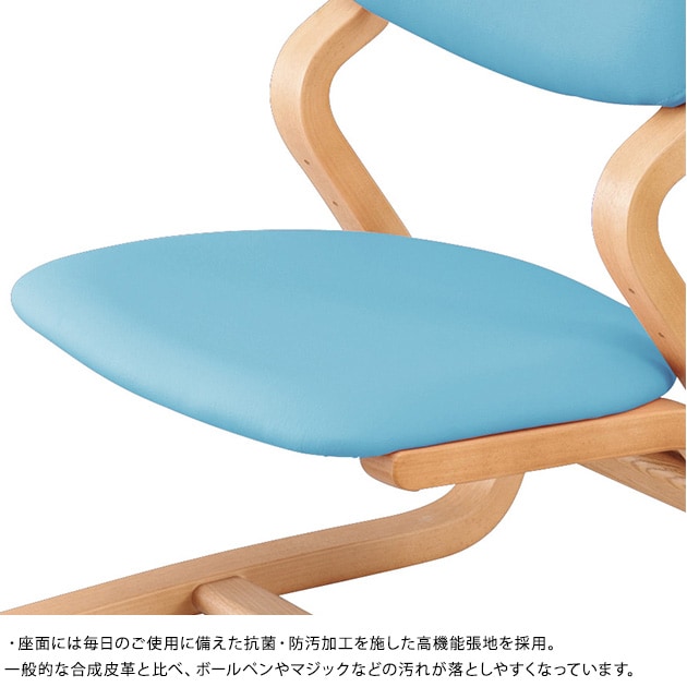 ���ܹ��� DSC-4100������ �����