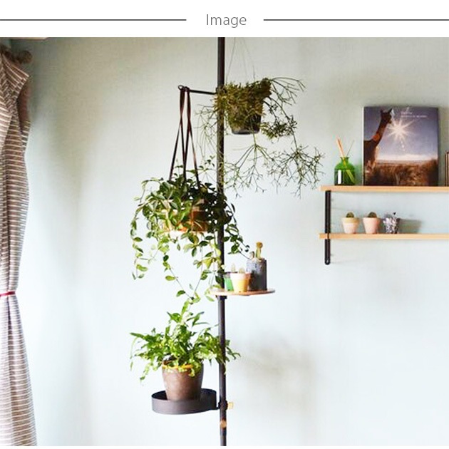 DRAW A LINE �ɥ������饤�� �Ϥ�ڤ��᤬�ͤλŻ��ȼ��ե��å�