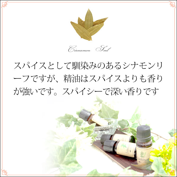 メール便 送料無料】 シナモンリーフ10ml×2本セット(天然由来100