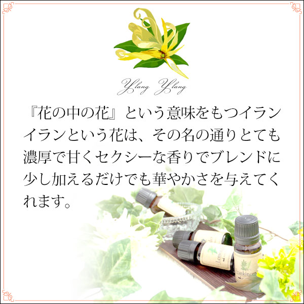 メール便 送料無料】イランイラン(1st)＆ローズマリーCTカンファー各