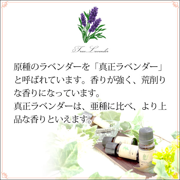 メール便 送料無料】 真正ラベンダー10ml (天然由来100