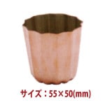 �������ķ������ۻҷ� ���̥췿 �� 55��50(mm) SN6502