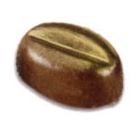 42������祳�졼�ȥ��ɡ�MA1529