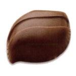 30������祳�졼�ȥ��ɡ�MA1638