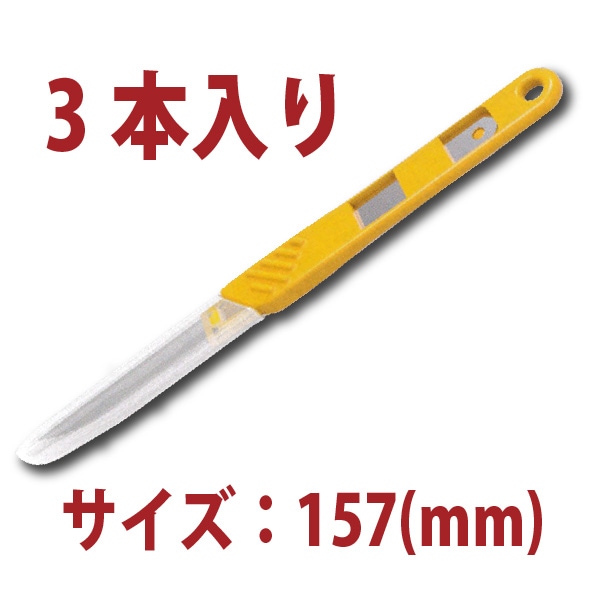 �����ץʥ��ա�3�����ꡡSN48594 