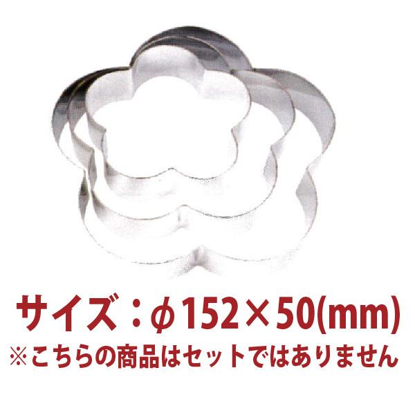 6�ɲַ����륯���󥰡�SN3523