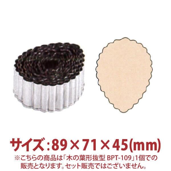 �ڤ��շ�ȴ����BPT-109 89��71��45mm