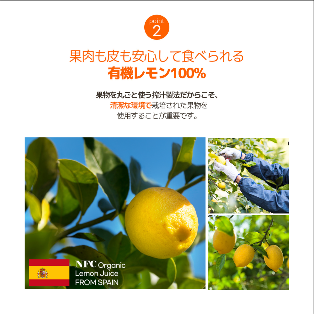【まとめ買いがお得】ホールベリー  レモン果汁韓国のNO.1 レモン果汁/健康飲料/韓国/インナービューティー