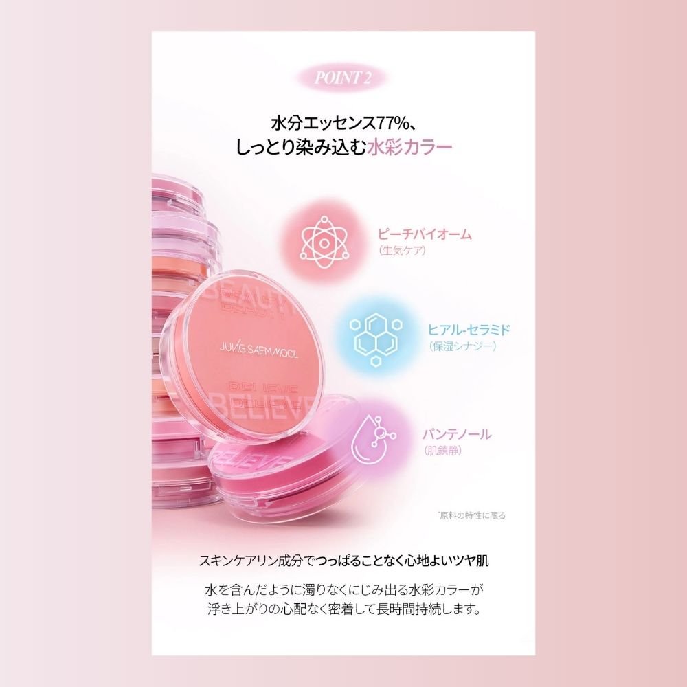 アーティスト クッション ブラッシュ 全8色