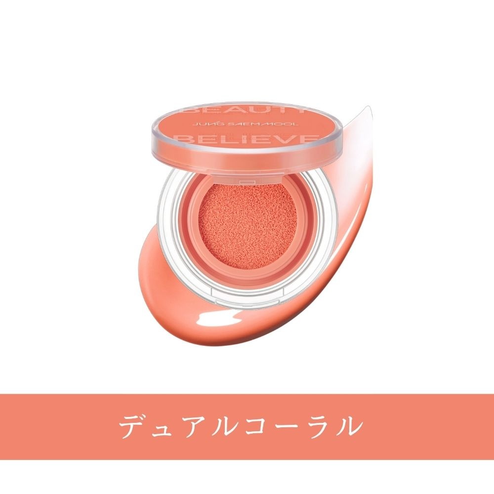 アーティスト クッション ブラッシュ 全8色