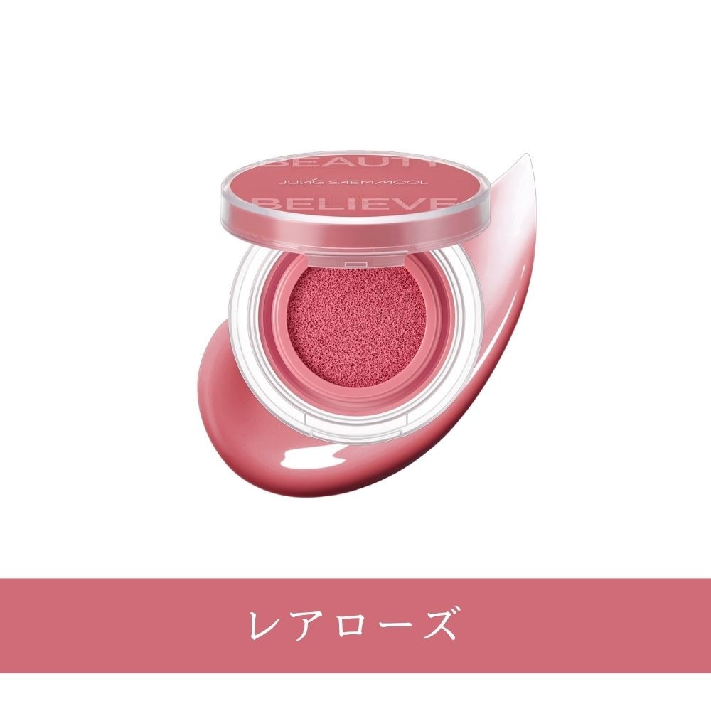 アーティスト クッション ブラッシュ 全8色