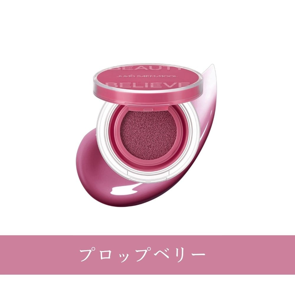 アーティスト クッション ブラッシュ 全8色