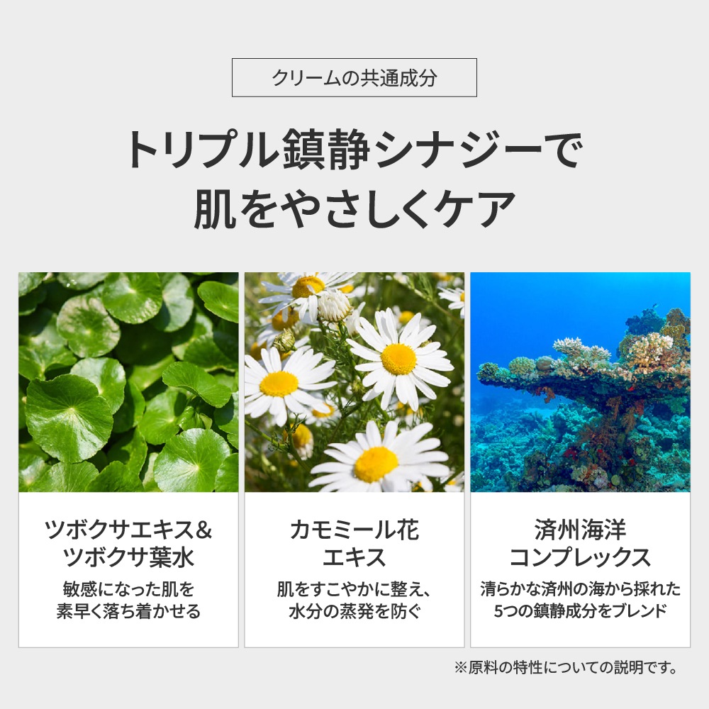 JASDERMA クリーム Cream