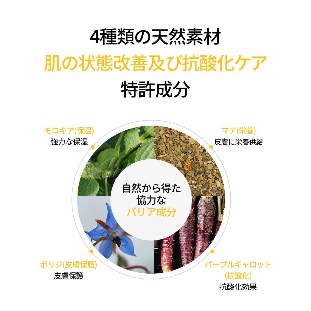 オングリディエンツ スキンバリアＣローション (220ml) ＋オングリディエンツ スキンバリアカーミングソフナー