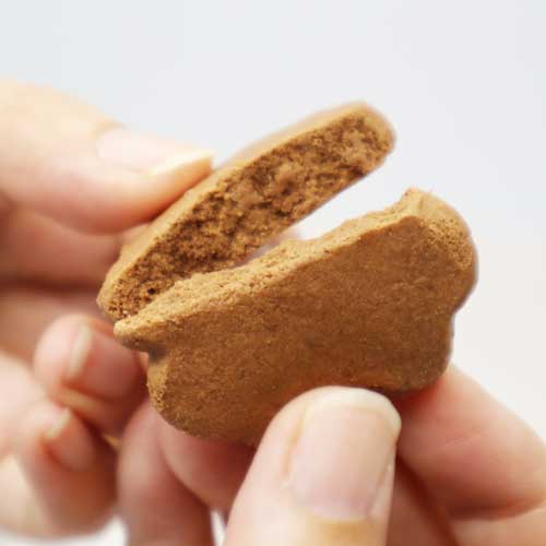 フォンダンビスキュイ 18枚入