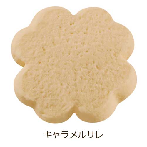 フォンダンビスキュイ 27枚入