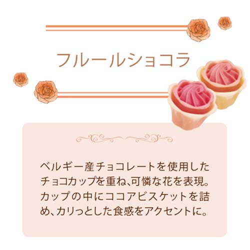 ちいさな花のおはなし アソート 16個入