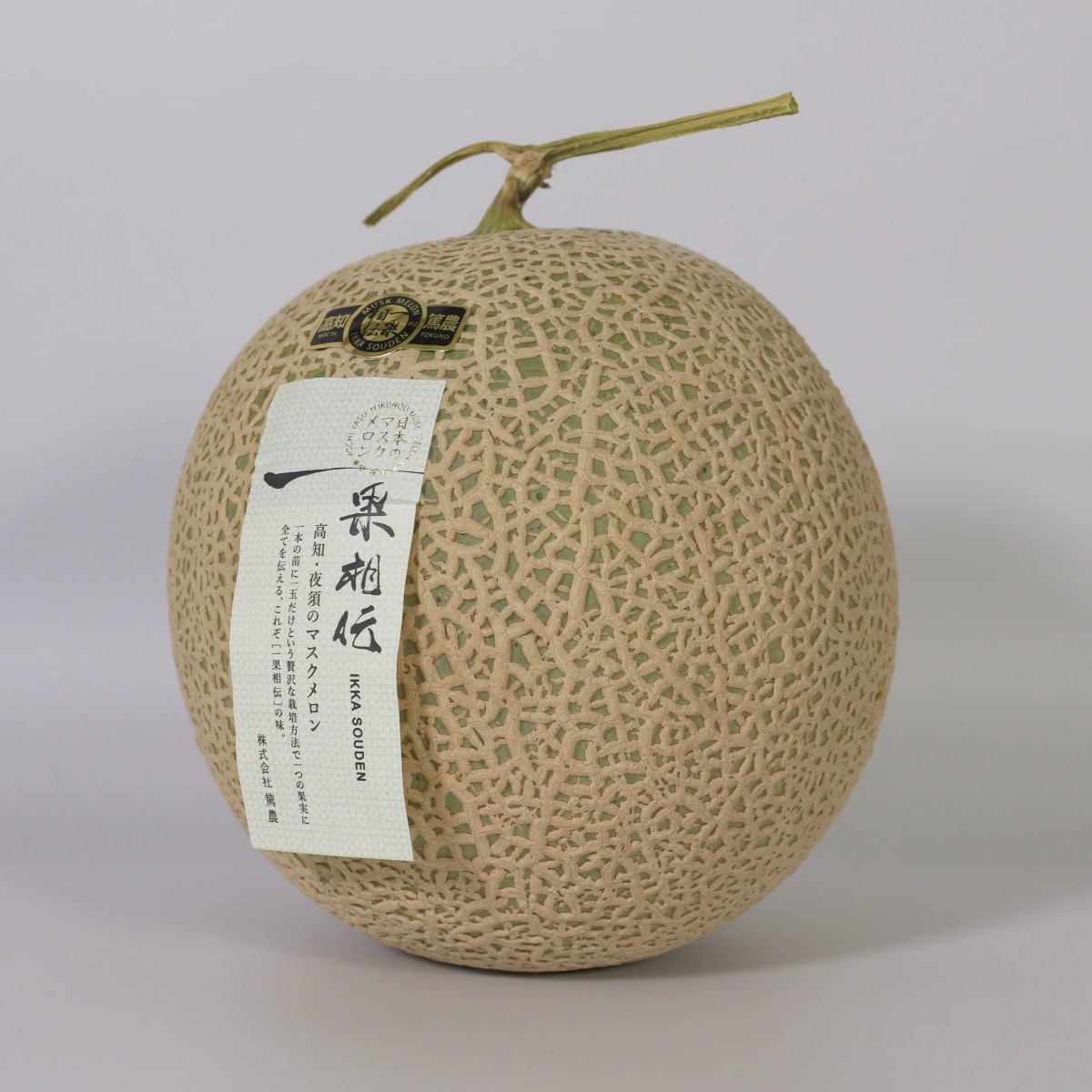 一果相伝 マスクメロン 1.6Kg×2(特選)