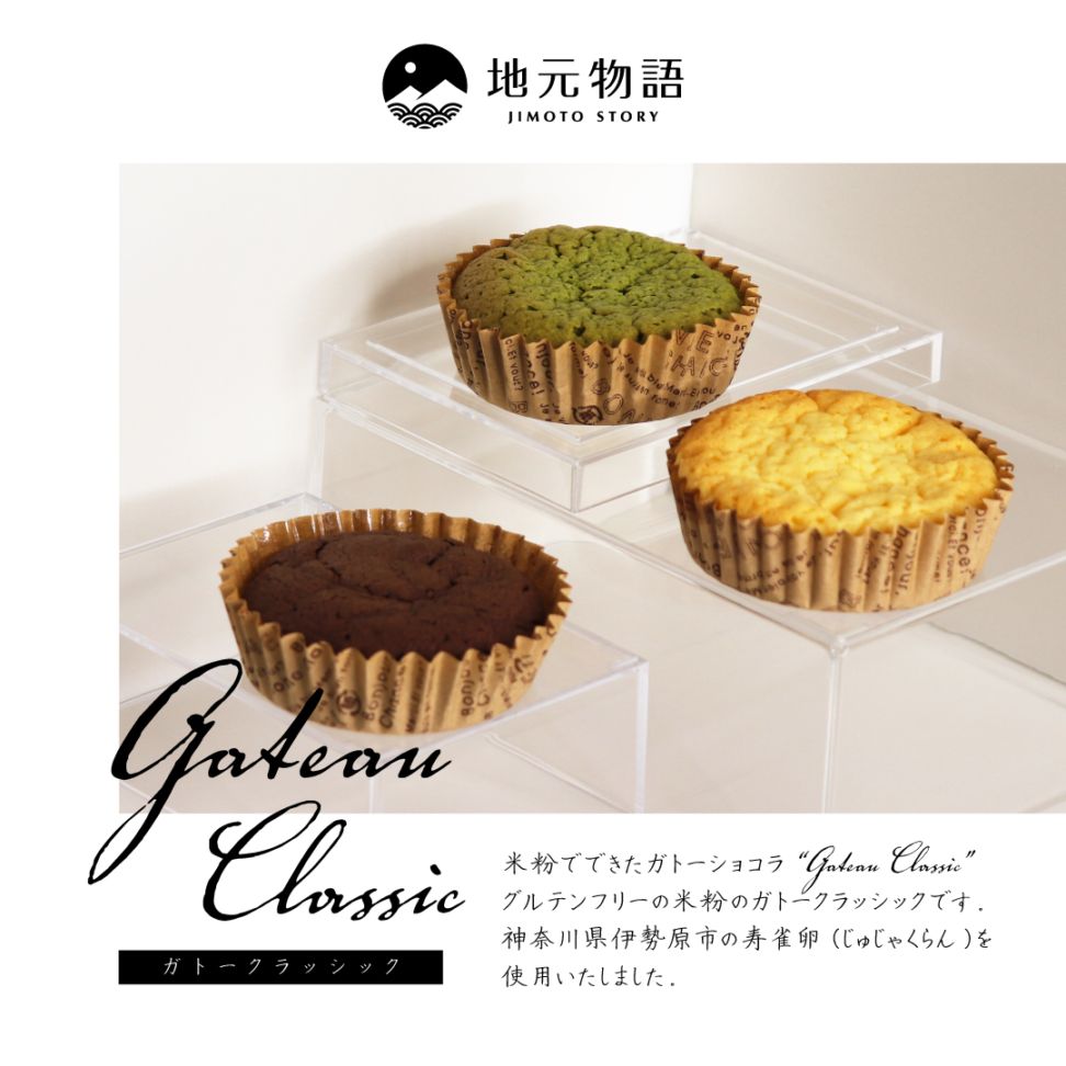 Gateau Classic 9個入