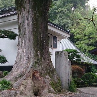 すっきりフルーティー！　神奈川地酒 ３本セット