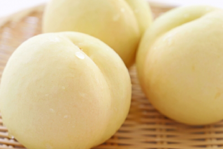 岡山倉敷玉島元祖白桃「井頭白桃」 加納岩白桃～白鳳～清水白桃～白麗（7玉～８玉）