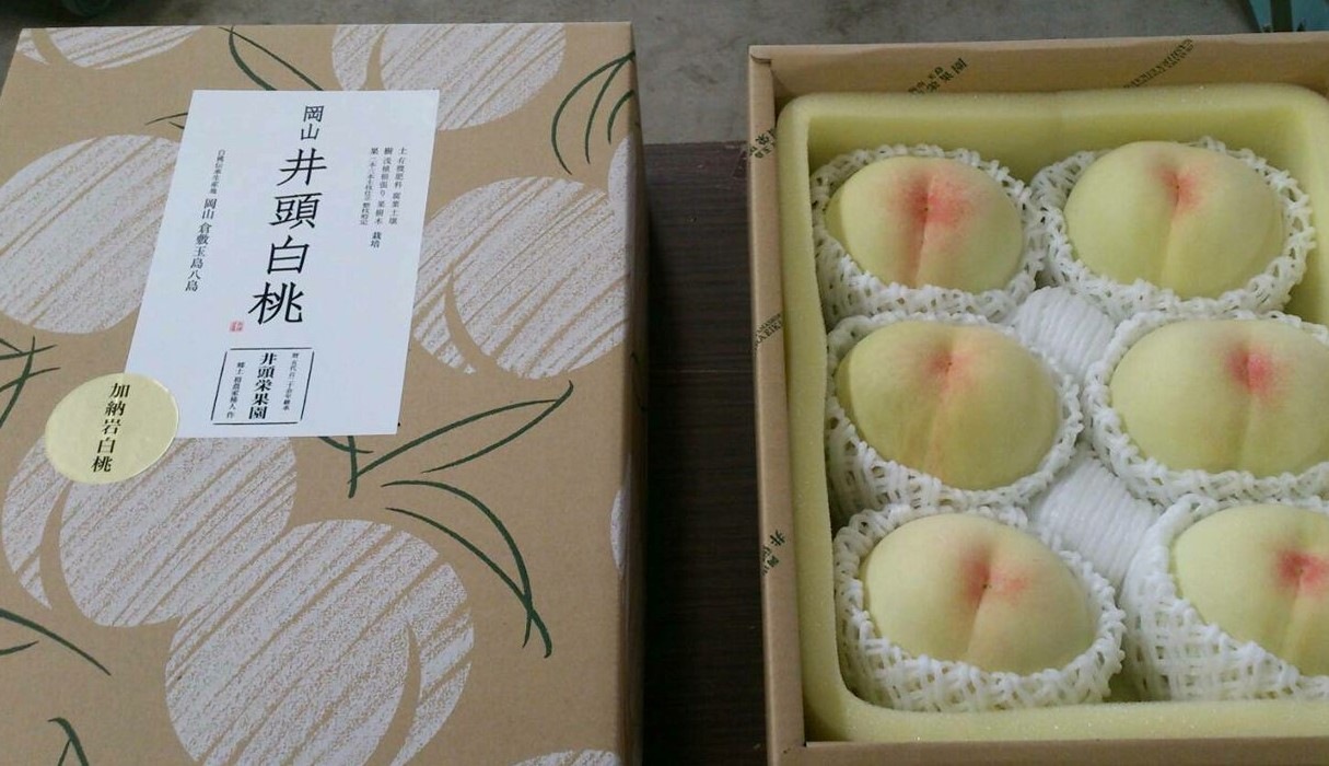 岡山倉敷玉島元祖白桃「井頭白桃」 加納岩白桃～白鳳～清水白桃～白麗（7玉～８玉）