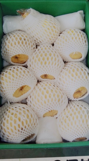 【予約受付中】ルレクチェ2Kg 8-9玉