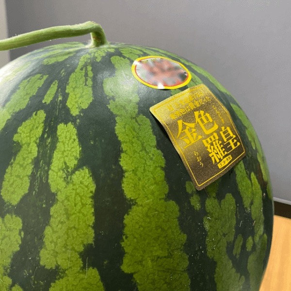 金色羅皇(すいか) 約8Kg～11Kgのお取り寄せ通販｜地元物語