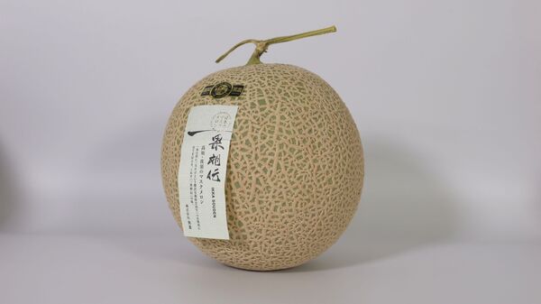 一果相伝 マスクメロン 1.6Kg×2(特選)