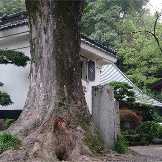 初めての方に　神奈川地酒 ３本セット