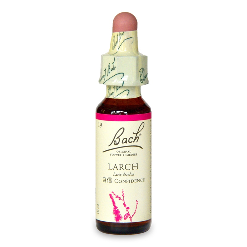 ラーチ（自信）《バッチフラワーレメディ》10ml｜フラワーレメディ