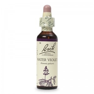 �����������Х�����åȡʤĤʤ���� ���륳����١����ԥХå��ե����ǥ���20ml