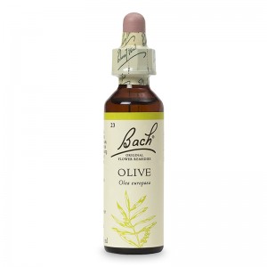 ���꡼�֡ʸ��������ϡ� ���륳����١����ԥХå��ե����ǥ���20ml