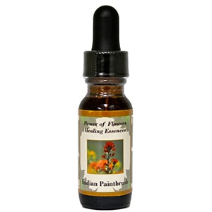 ǥڥȥ֥饷ԥѥ֥եҡ󥰥å󥹡15ml