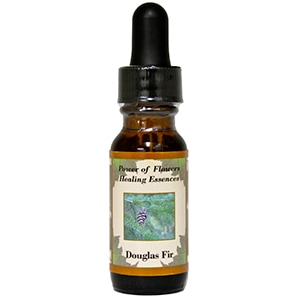 饹եԥѥ֥եҡ󥰥å󥹡15ml