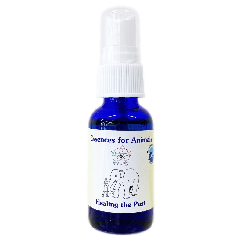 ヒーリングザパスト（過去を癒す）スプレー《パシフィックエッセンス》30ml