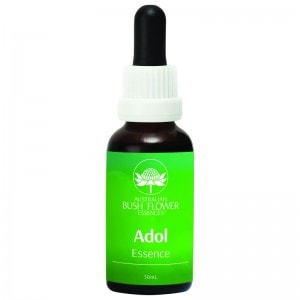 ɥʻ׽մˡԥȥꥢ֥åեå󥹡30ml