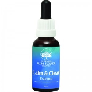 ����������ꥢ��������夭�����ơˡԥ������ȥ�ꥢ��֥å���ե����å��󥹡�30ml