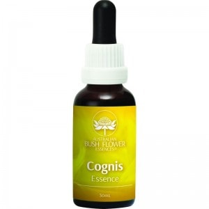 ˥ǧΡˡԥȥꥢ֥åեå󥹡30ml