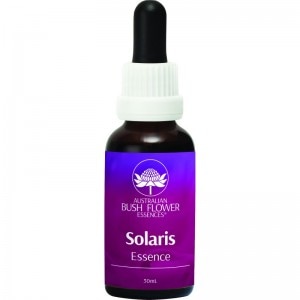 【専用】メディテーション『瞑想』 オーストラリアンブッシュ　フラワーエッセンス他 楽天市場】メディテーション（瞑想）《オーストラリアンブッシュ