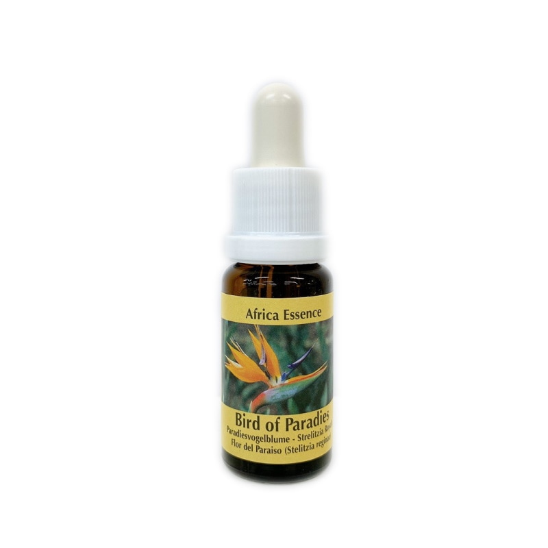 ※ミカン※コルテPHIエッセンス イルカエッセンス15ml　2本 Amazon | イルカ エッセンス | コルテPHIエッセンス | 美容液 通販