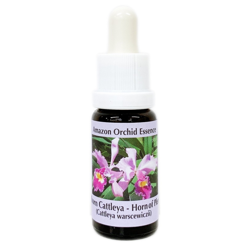 フルホーンカトレア《コルテPHIエッセンス》15ml｜フラワー