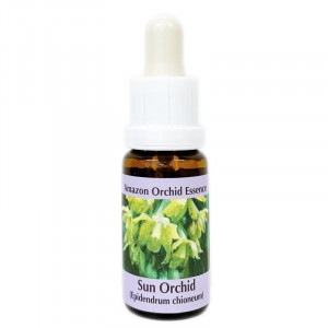 ���󥪡����åɡԥ����PHI���å��󥹡�15ml