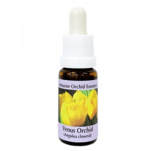 �ӡ��ʥ��������åɡԥ����PHI���å��󥹡�15ml