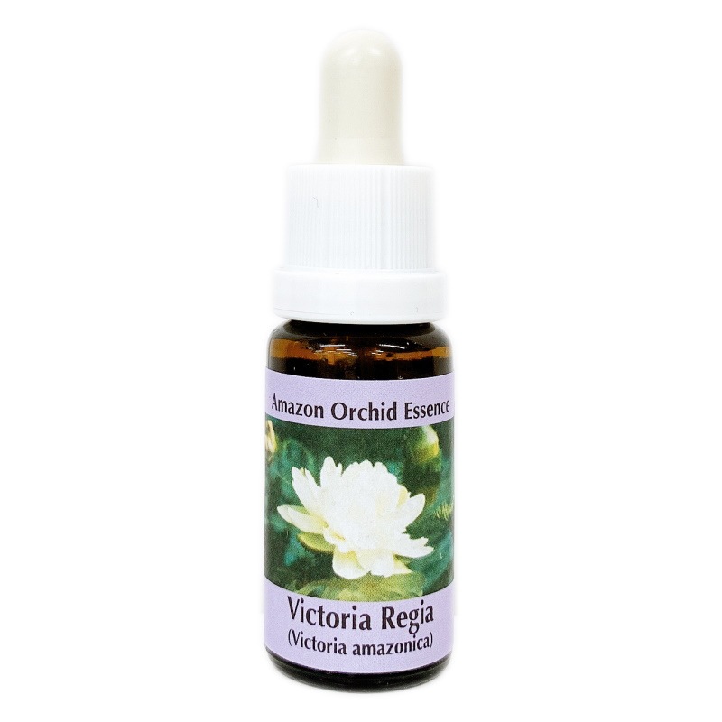 ビクトリアレジーア《コルテPHIエッセンス》15ml｜フラワーレメディ