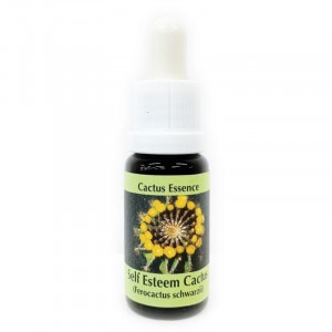 ����� �����ơ��� ���������ԥ����PHI���å��󥹡�15ml