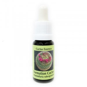 �ե����᡼����� ���������ԥ����PHI���å��󥹡�15ml